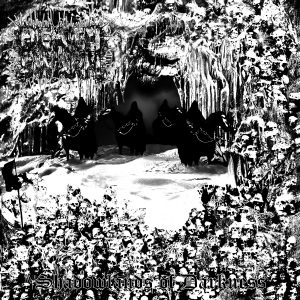 DEATHSWARM (SWE) - Shadowlands of Darkness LP (BLACK vinyl)