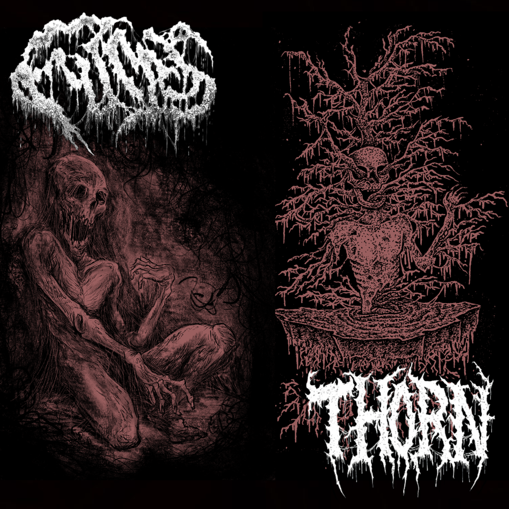 FUMES (CAN) / THORN (USA) - Split MCD