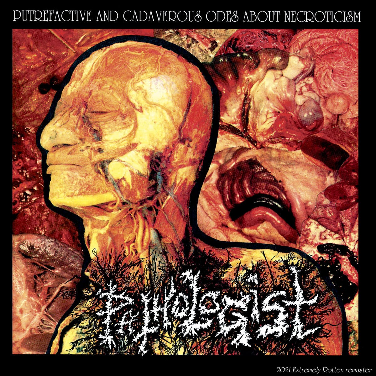 PATHOLOGIST - Putrefactive And Cadaverous Odes to Necroticism CD