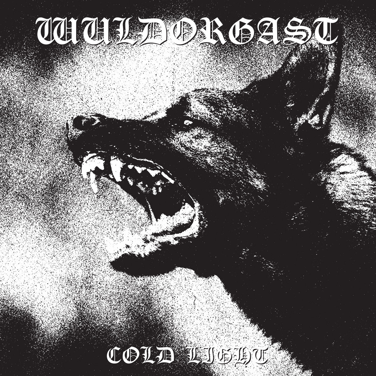 WULDORGAST - Cold Light CD
