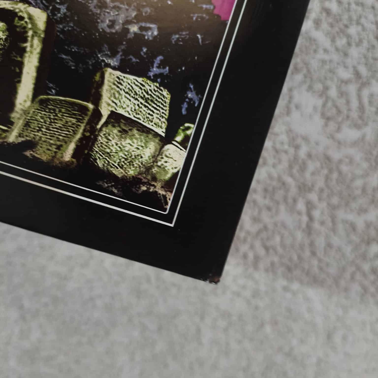 DARK MEDITATION - Polluted Temples LP (RED/BLACK) - Image 4